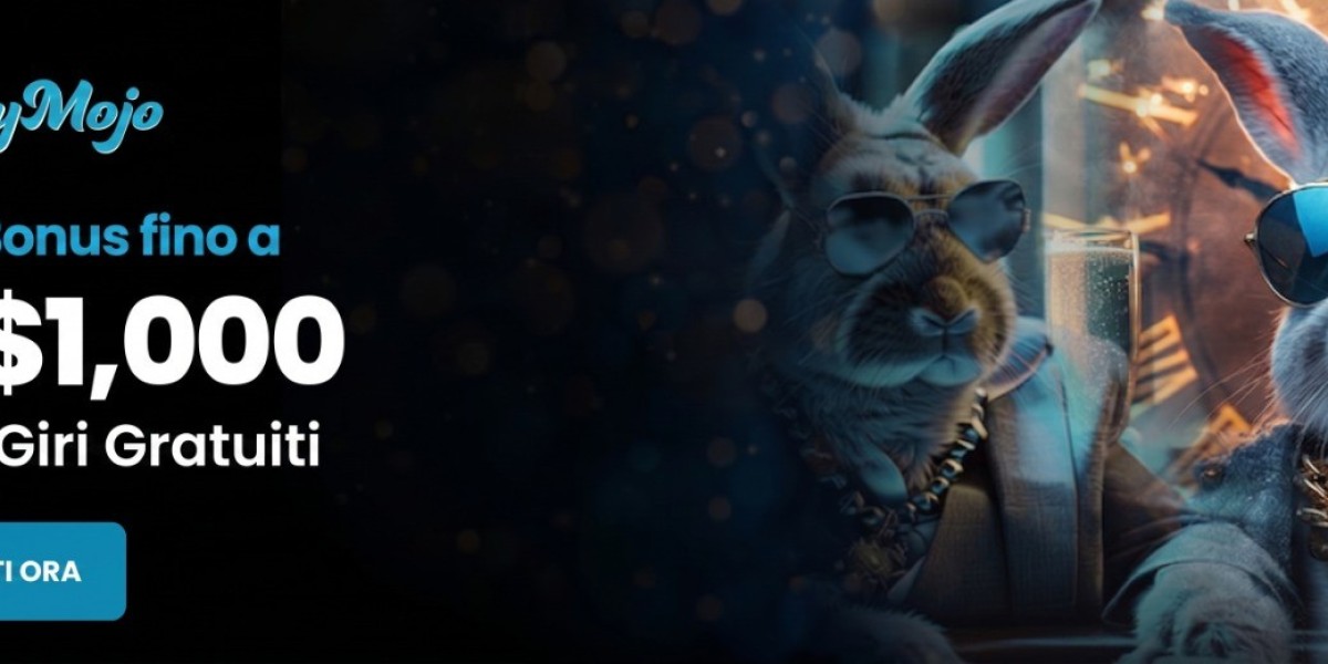 A Fresh Perspective on the Growth of playmojo Digital Entertainment